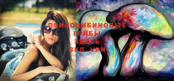 ECSTASY Галич