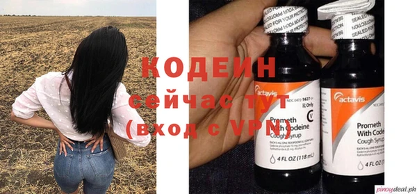 индика Сафоново